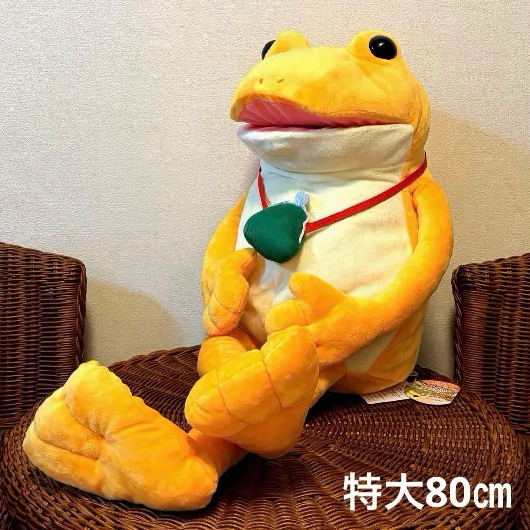 m26480940805_1.jpg?1767529049