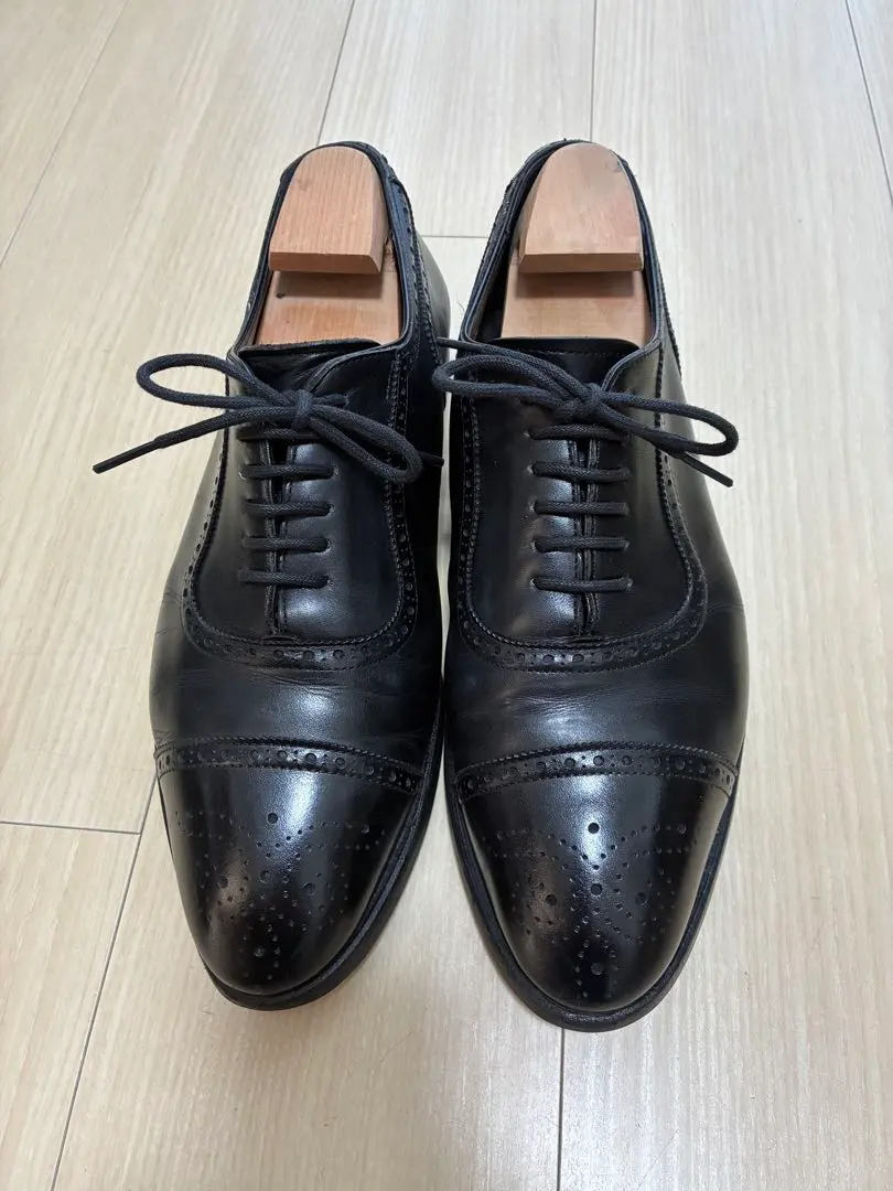 2026年最新】コベントリー シェットランドフォックスの人気アイテム