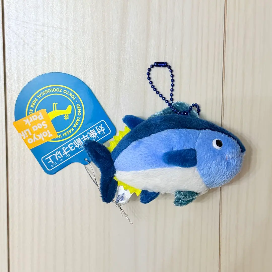 2026年最新】葛西臨海水族園 マグロの人気アイテム - メルカリ