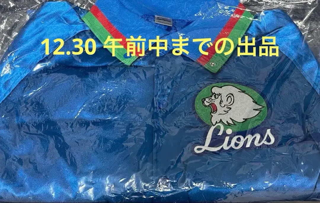 美品 埼玉西武ライオンズ ブルゾン 刺繍 Lサイズ グラウンドコート