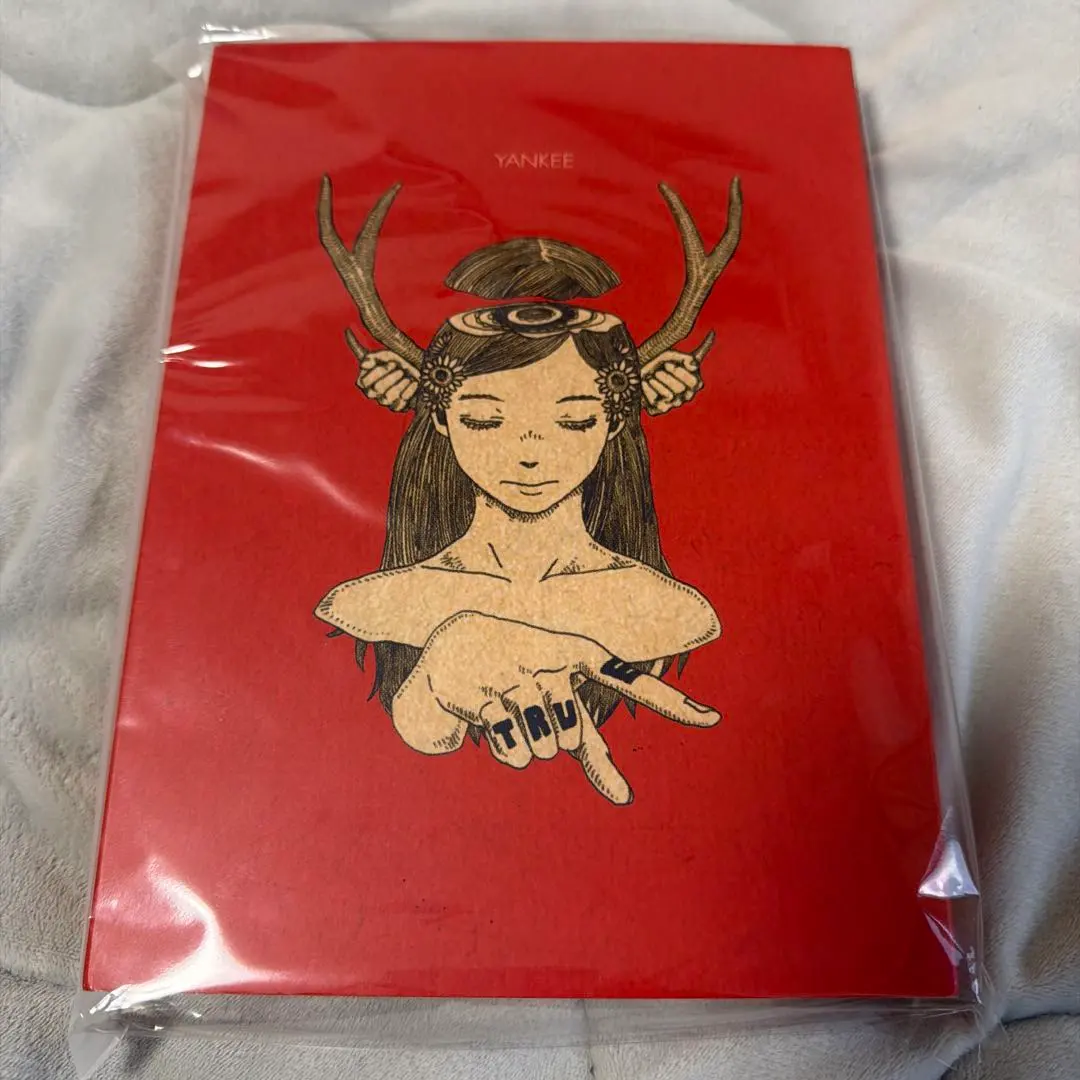 2026年最新】米津玄師 yankee 初回の人気アイテム - メルカリ