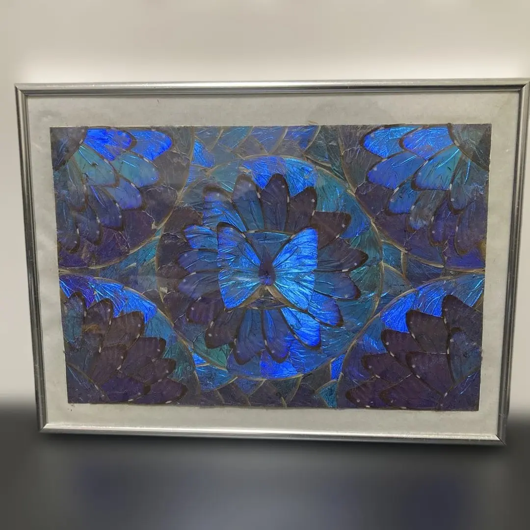 2026年最新】モルフォ蝶 アートの人気アイテム - メルカリ