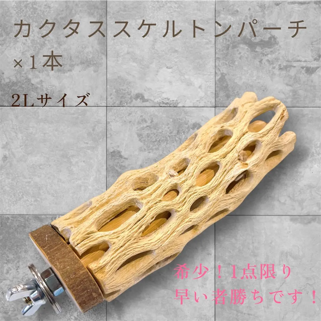 2026年最新】カクタスパーチの人気アイテム - メルカリ