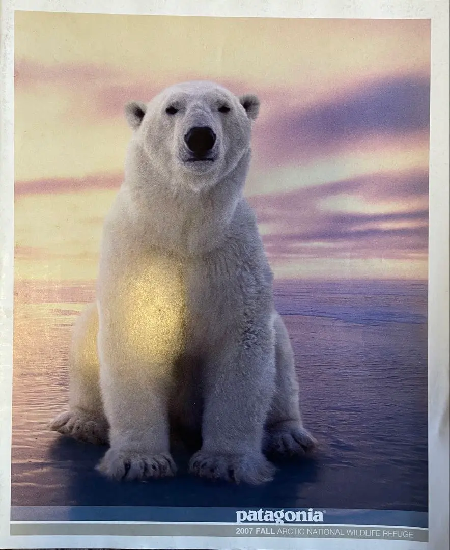 2026年最新】パタゴニア カタログ 1998の人気アイテム - メルカリ