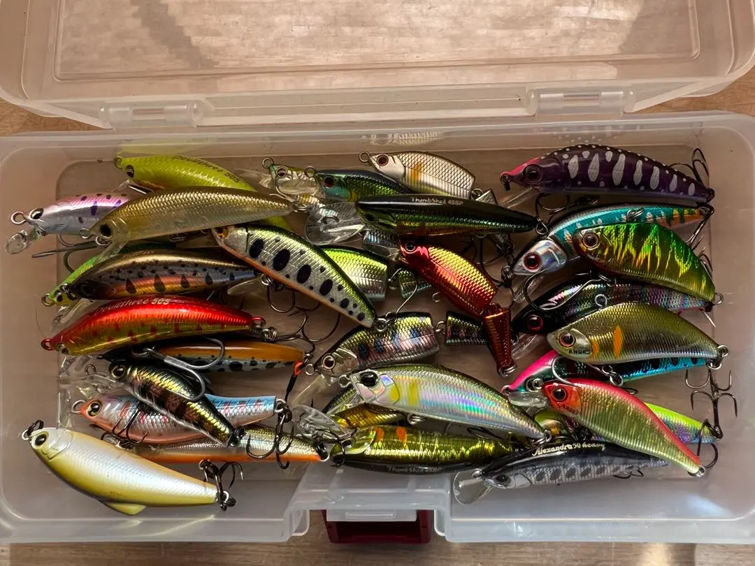 2026年最新】デビルスリーの人気アイテム - メルカリ