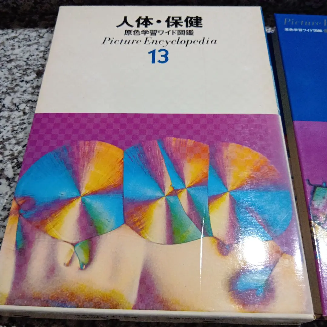 m36409085591_1.jpg?1755686768