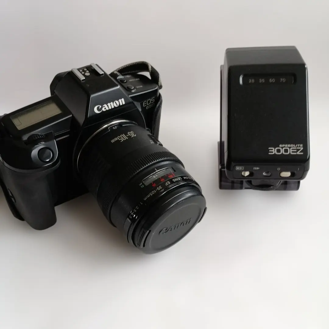 m36986260533_1.jpg?1772290991