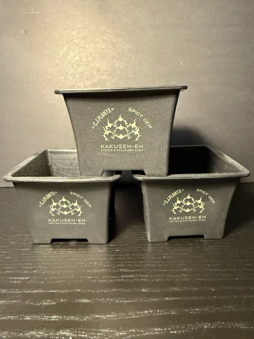 2026年最新】spicygem 鉢の人気アイテム - メルカリ