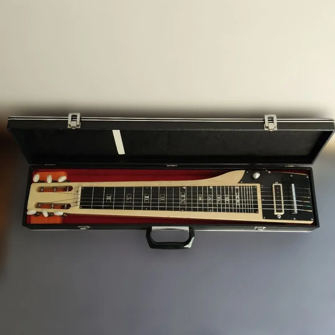 2026年最新】グヤトーン スチールギターの人気アイテム - メルカリ