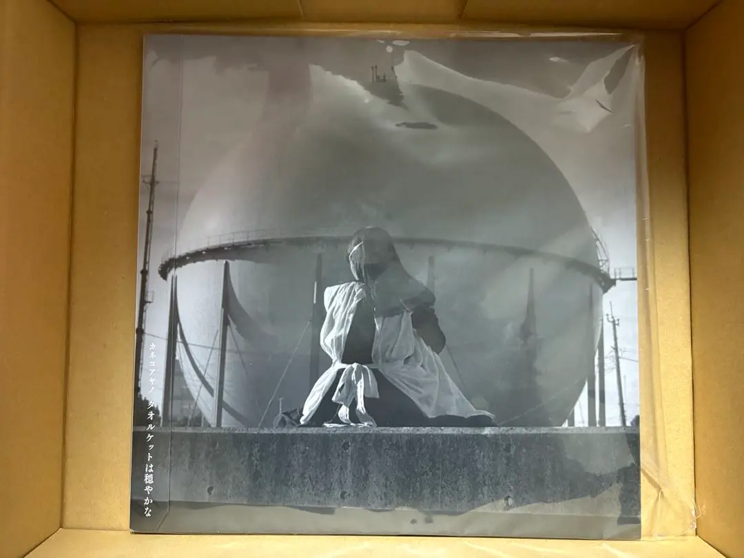 2026年最新】カネコアヤノ 野音 レコードの人気アイテム - メルカリ