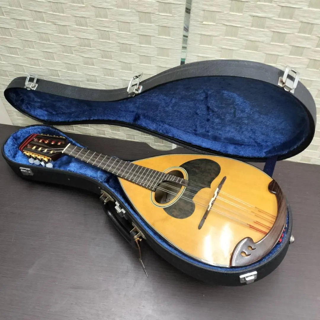 2026年最新】SUZUKI マンドリン m-210の人気アイテム - メルカリ