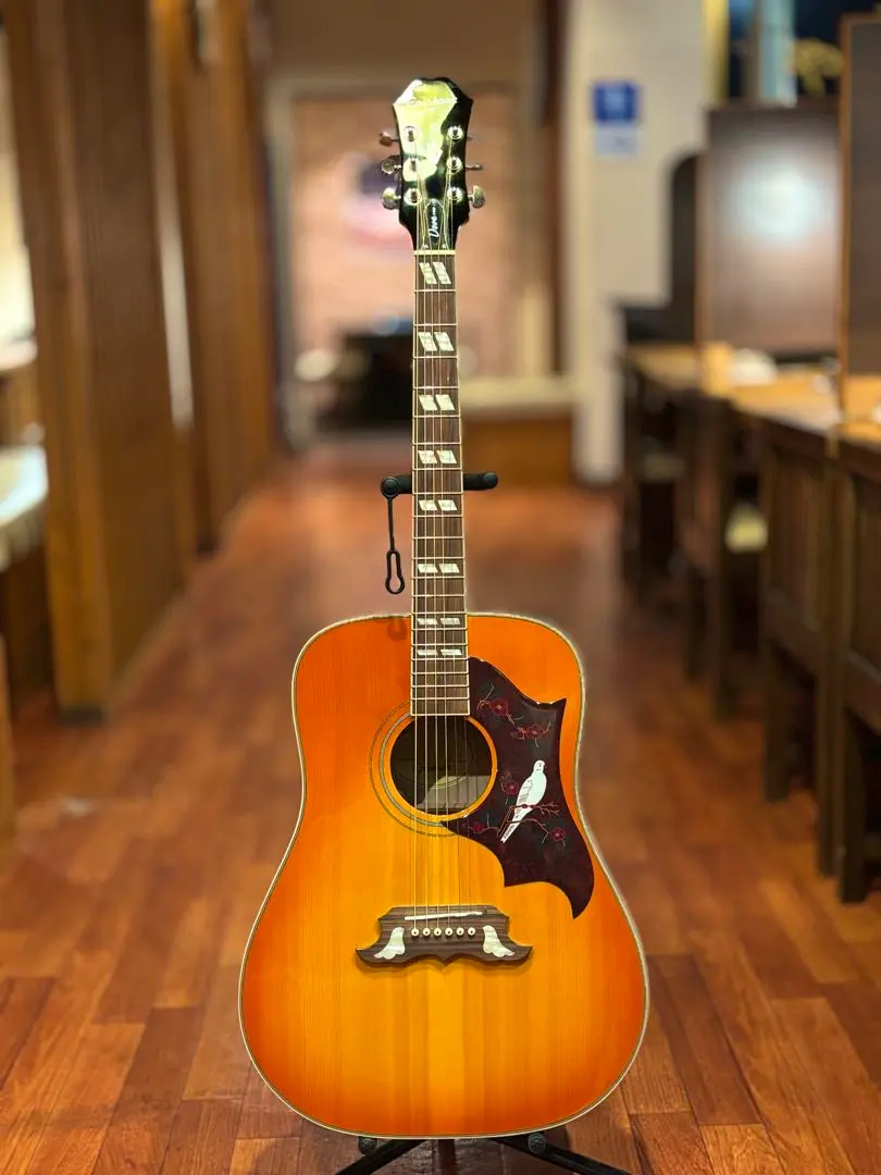 2026年最新】epiphone doveの人気アイテム - メルカリ