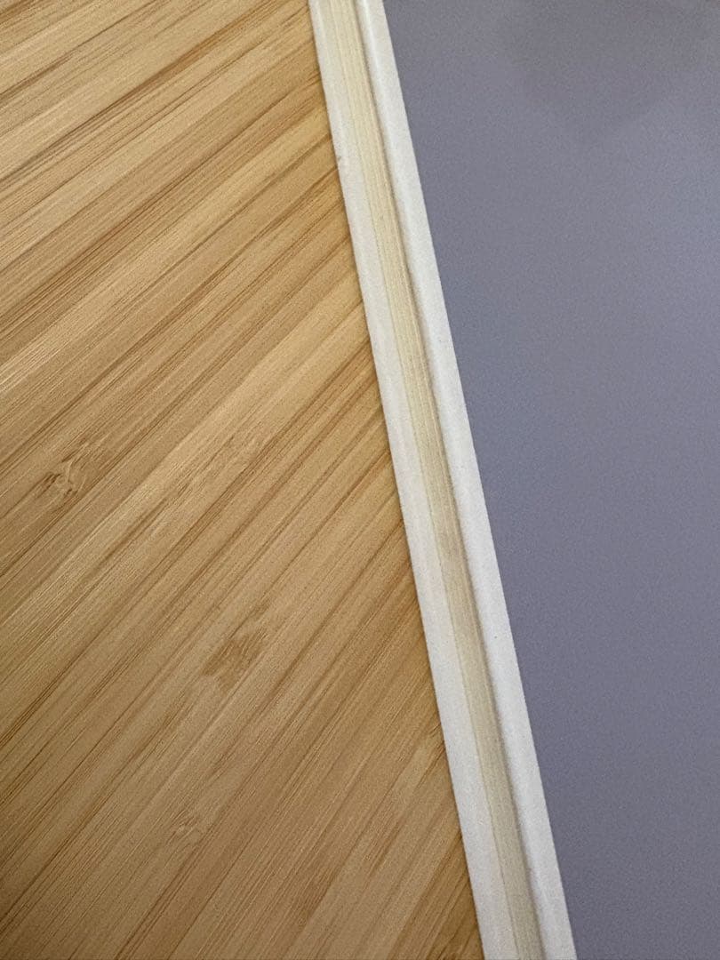 加速教育法 D.H.シュスター・C.E.グリントン 共著