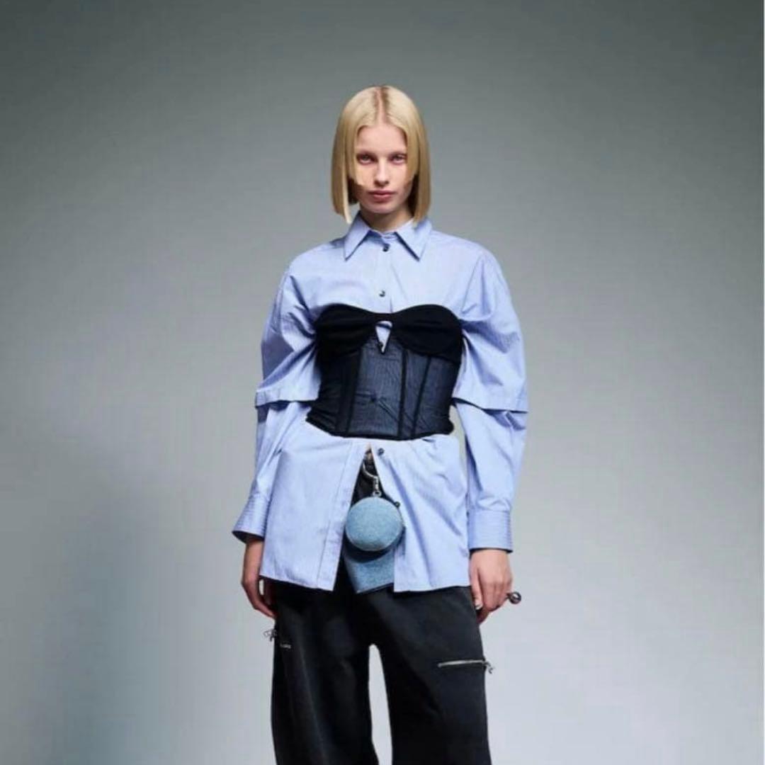 ZARA MAISON SPECIAL コラボ ストライプ シャツ - メルカリ