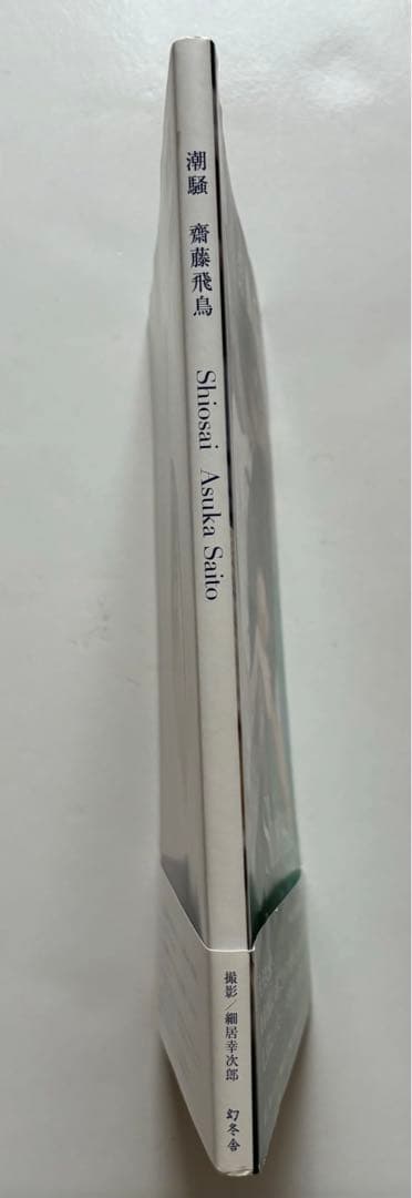 乃木坂46 齋藤飛鳥 1st.写真集『潮騒』 齋藤画伯 ブックカバー付き