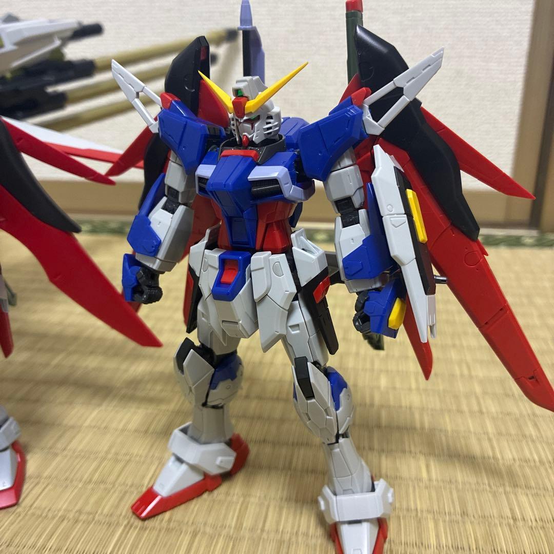 HG デスティニーゼウスシルエット RG デスティニーガンダム 完成品ジャンク