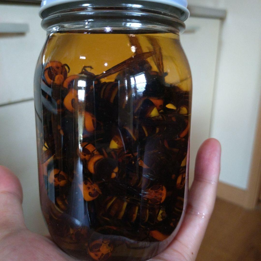 スズメバチ 焼酎漬け - メルカリ