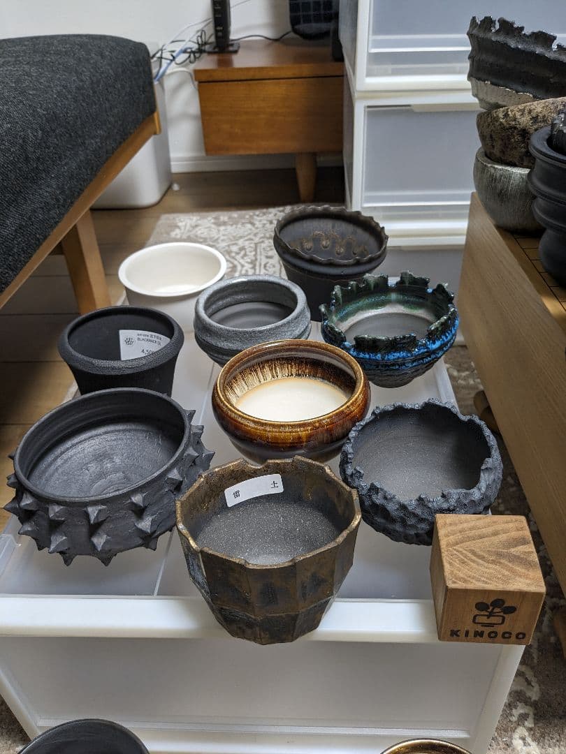 発送相談可】作家植木鉢 80鉢 おまけつき - メルカリ