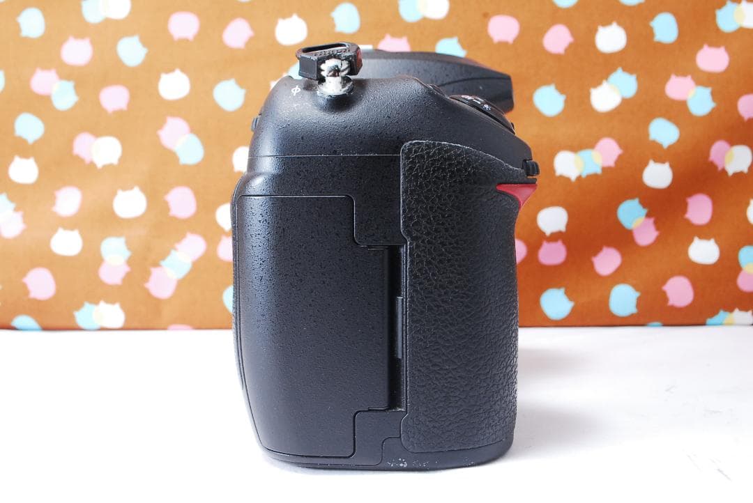 ✨ショット数7755回✨元箱付き✨Nikon D200 レンズセット - メルカリ