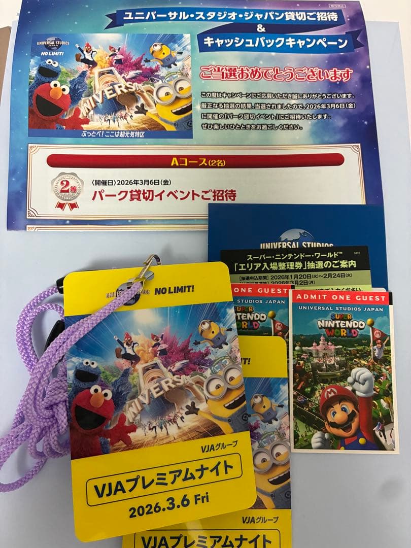 3/6 ユニバーサルスタジオジャパン 貸切ナイト 招待チケット2枚 貸切
