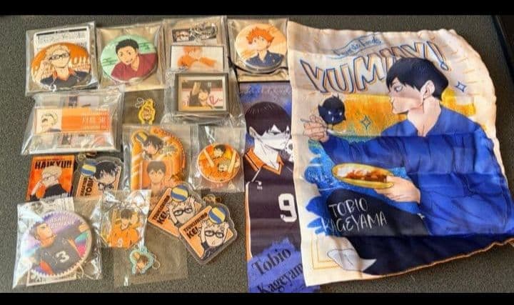 ハイキュー 烏野 影山 日向 月島 西谷 菅原 ステッカー ファイル 缶バ