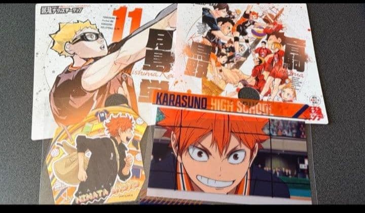 ハイキュー 烏野 影山 日向 月島 西谷 菅原 ステッカー ファイル 缶バ