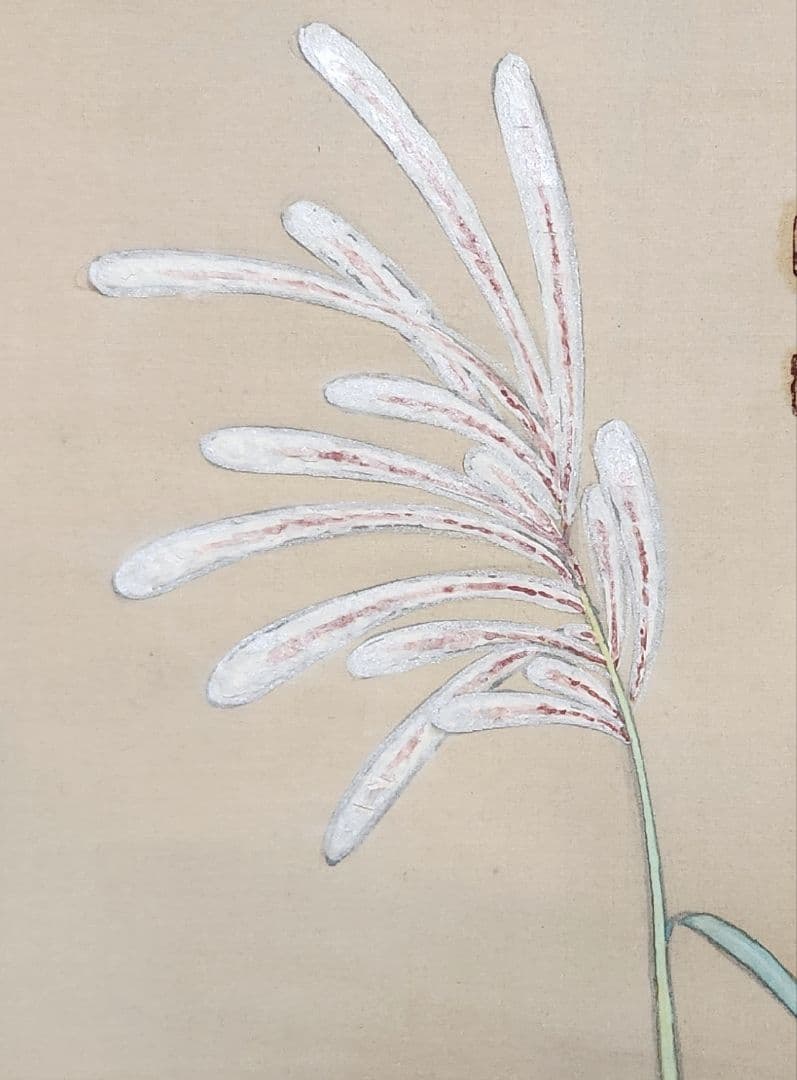 月下ススキ図】横内松籟 2680 月見 すすき 掛け軸 肉筆 - メルカリ