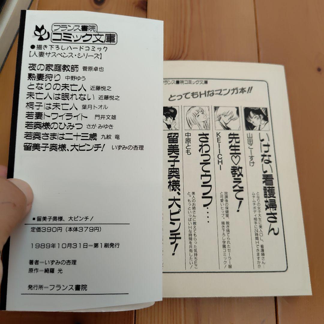 希少 留美子先生大ピンチ！留美子奥様大ピンチフランス書院コミック文庫