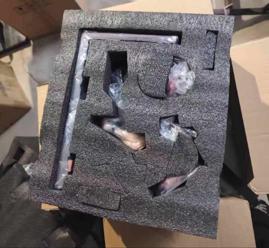 崩壊スターレイル ACG 刑務所 エリシア フィギュア ガレージキット