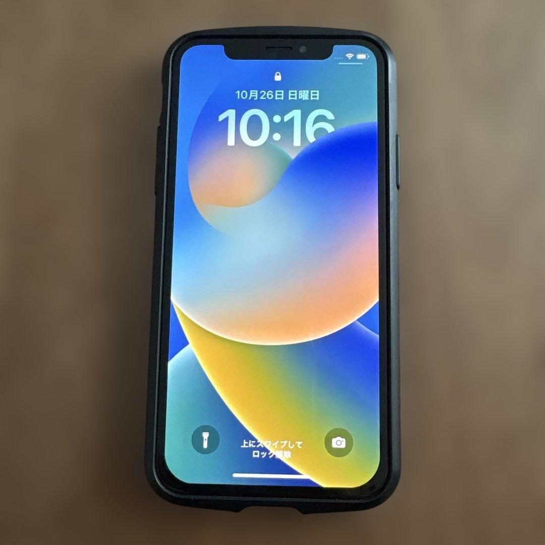 Apple iPhone X 256GB SIMフリー　フィルム　ケース付き Apple iPhone X 256GB SIMフリー フィルム ケース付き Apple iPhone X