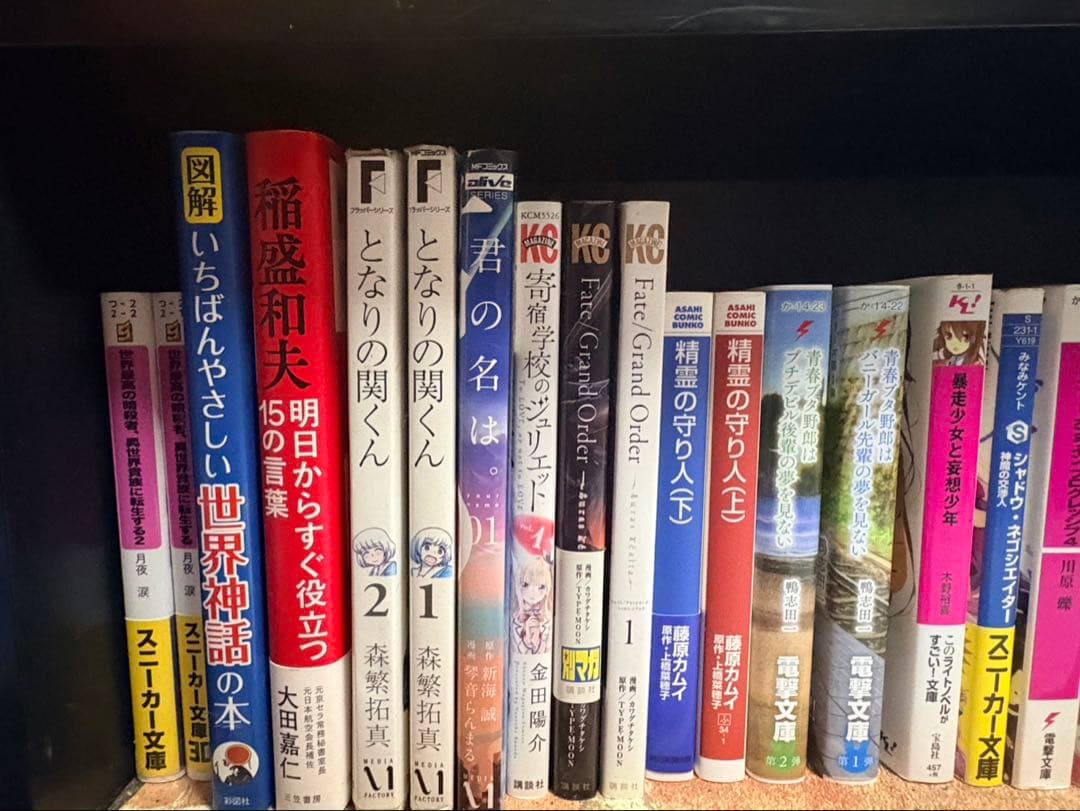 小説・漫画まとめ売り