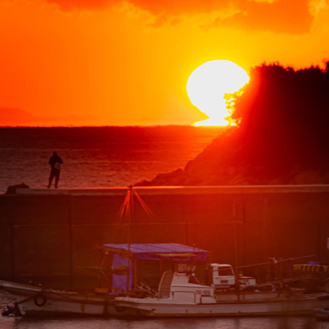 NIKKOR Z DX 50-250mm f/4.5-6.3 VR ズームレンズ