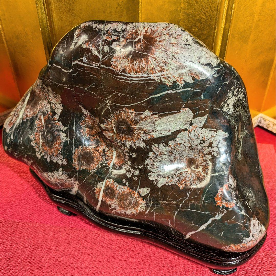 菊花石 岐阜県根尾谷産9.8㌔ 鑑賞石 観賞石 水石 盆石 天然石 置物