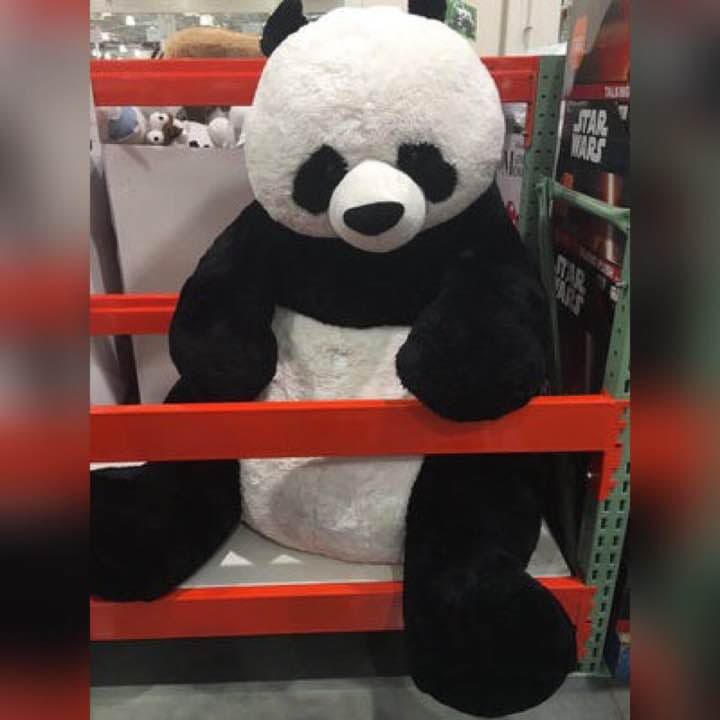 コストコ パンダ ぬいぐるみ - メルカリ