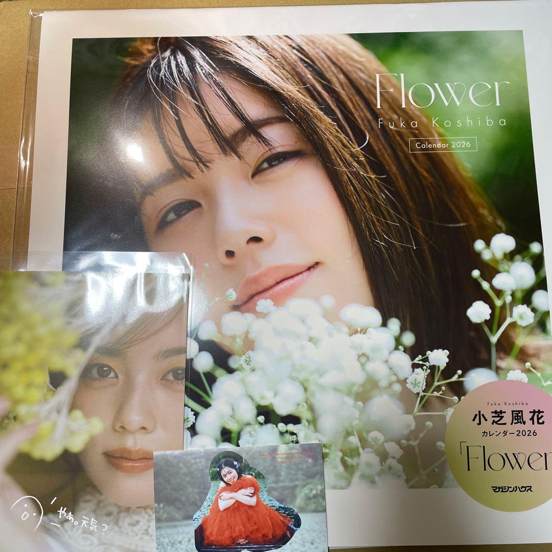 小芝風花 カレンダー 2026 蔦屋書店限定フォトカード&ステッカー1枚