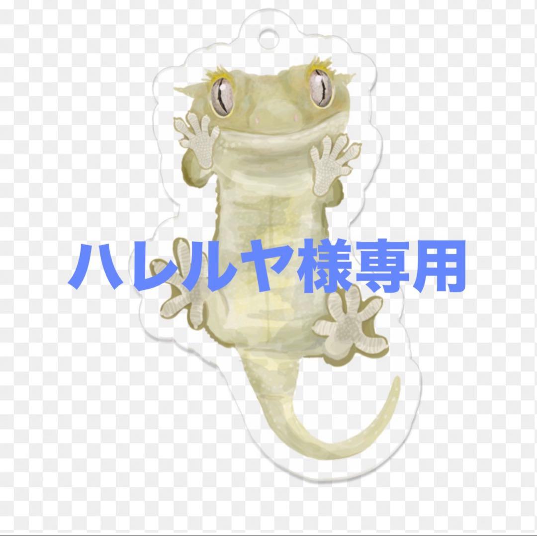 グラステラリウム4560直接引渡し スクリーンテラリウム4560 GEX EXOTERRA メッシュケージ 販売 通販