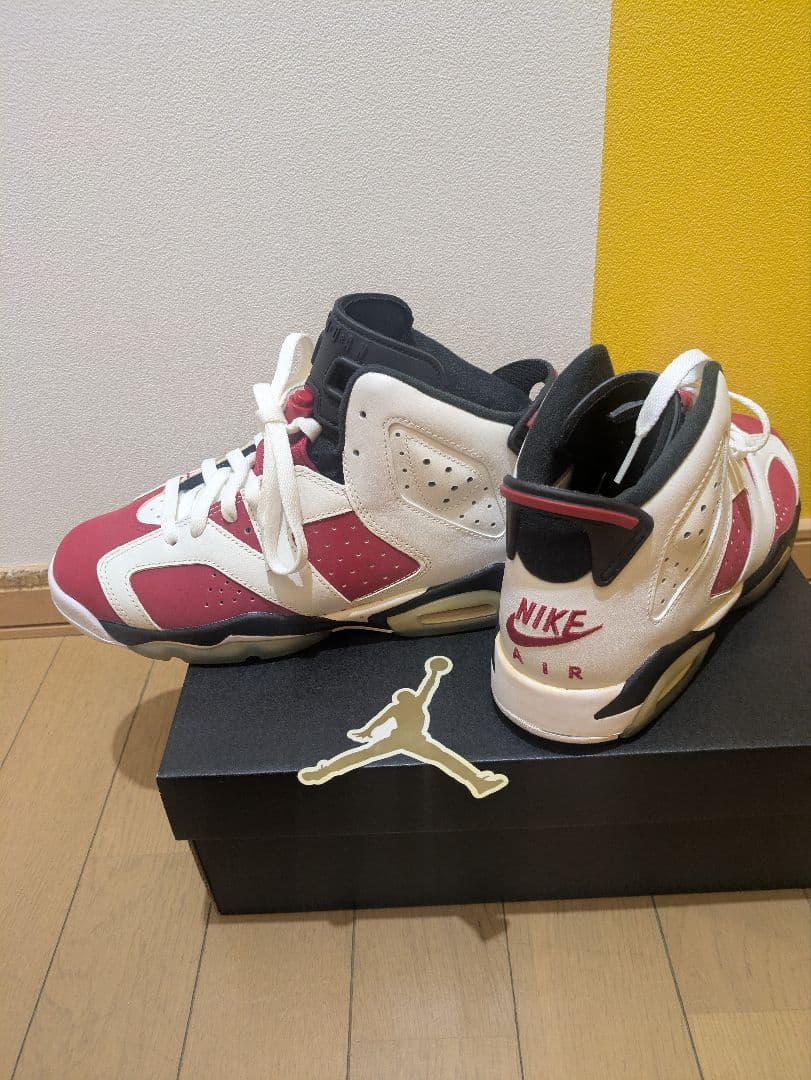 新品AIR JORDAN 6 RETRO GSCARMINE Jordan Mens Air 6 Retro CT8529 106 Carmine - Size 10 : Amazon.ca