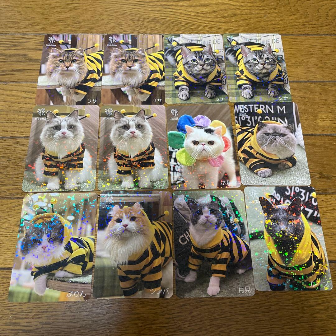 猫カフェmocha 心斎橋店 にゃんずトレカ - メルカリ