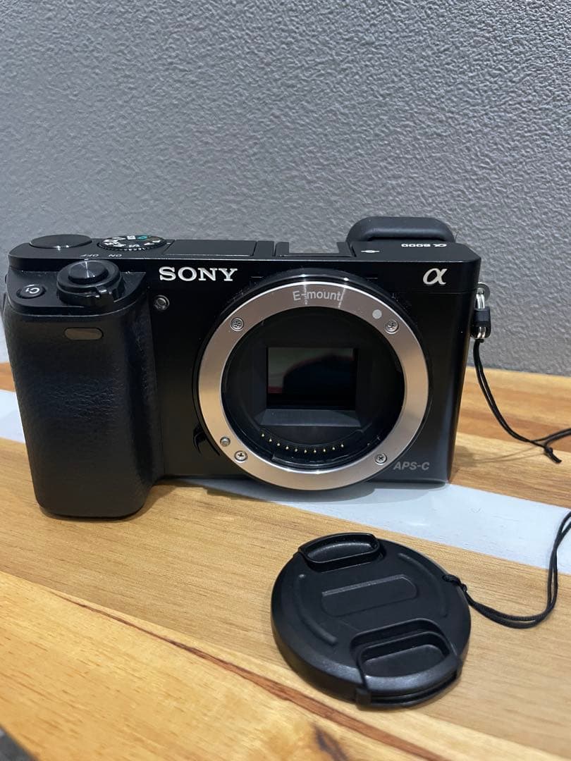 sony α6000 ミラーレス一眼 ズームレンズ ワイドコンバータ ガンマイク