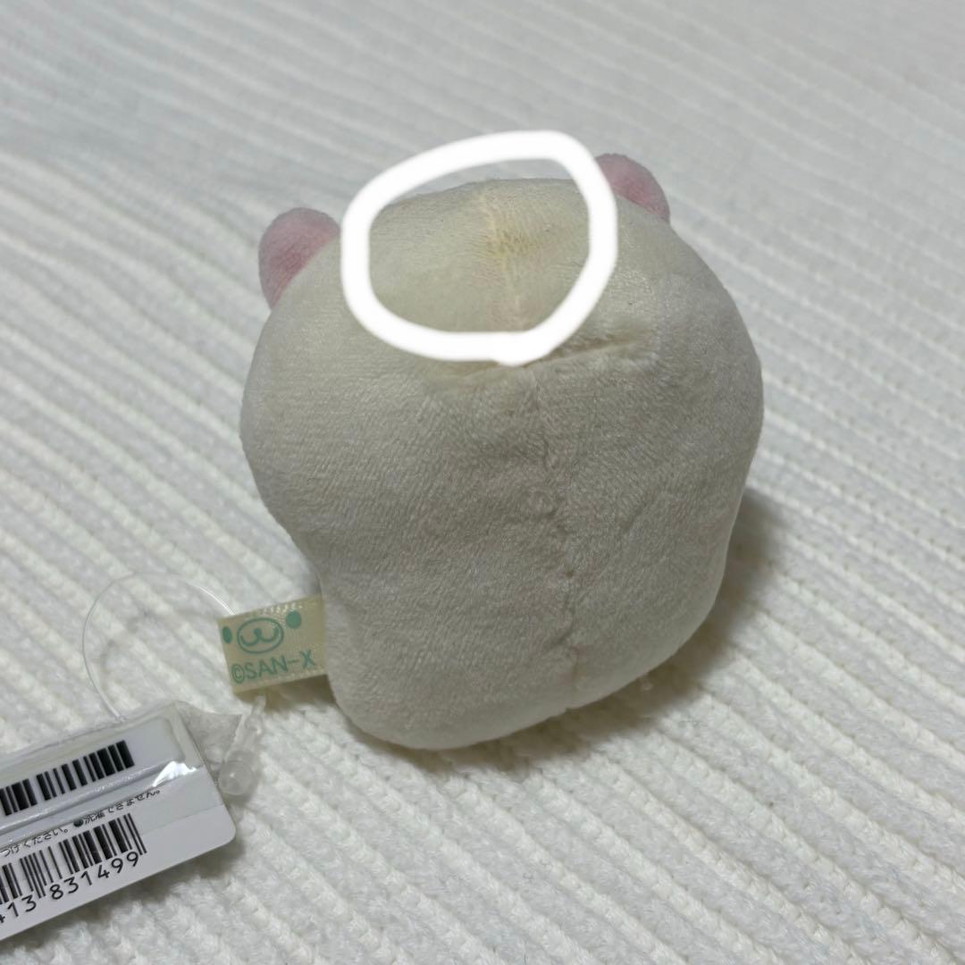 サンエックス まめゴマ てのり クリオネのあかちゃん 水族館