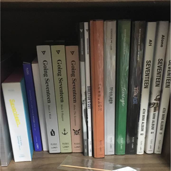 SEVENTEEN セブチ セット フラットガシャポン】SVTアクリルコースターディスプレイ From PLEDIS