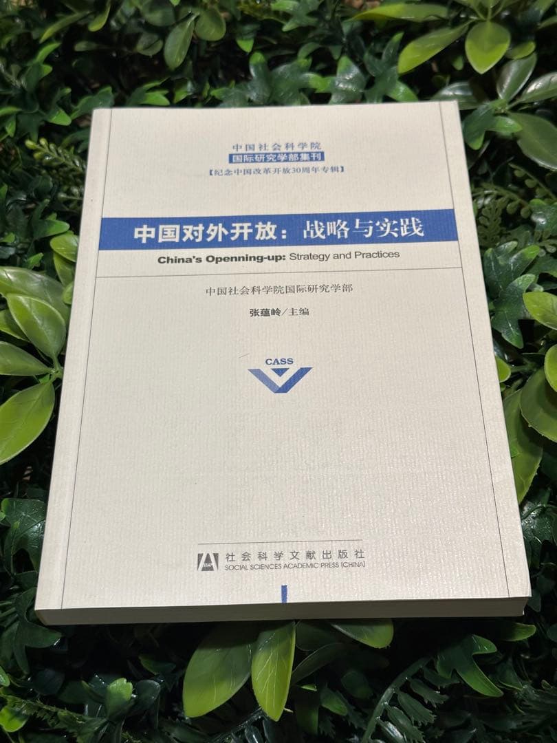 中国対外開放：戦略と実践／国際研究 CASS 国際政治 アジアの国際関係と政治の読み解き ―東南アジアと中国の外交から見る
