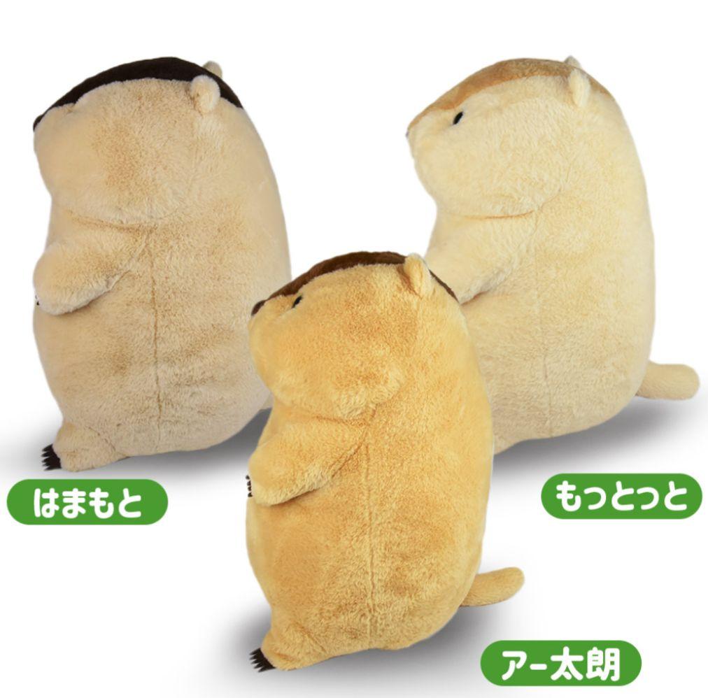 もっとっと マーモットのもっとっとウルトラBIGぬいぐるみ - メルカリ