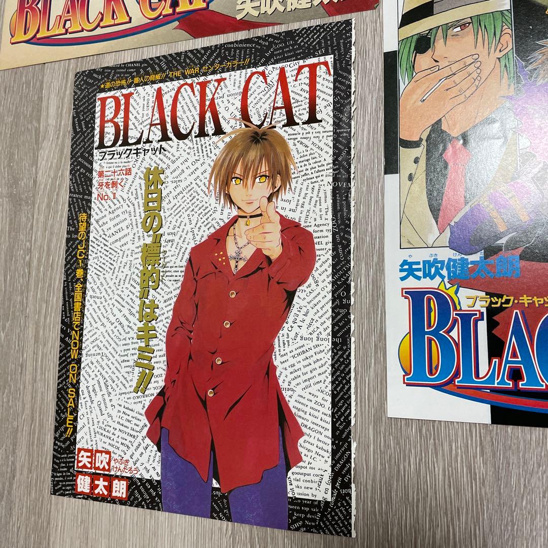 BLACK CAT 邪馬台幻想記 矢吹健太朗 カラー扉絵 切り抜き - メルカリ