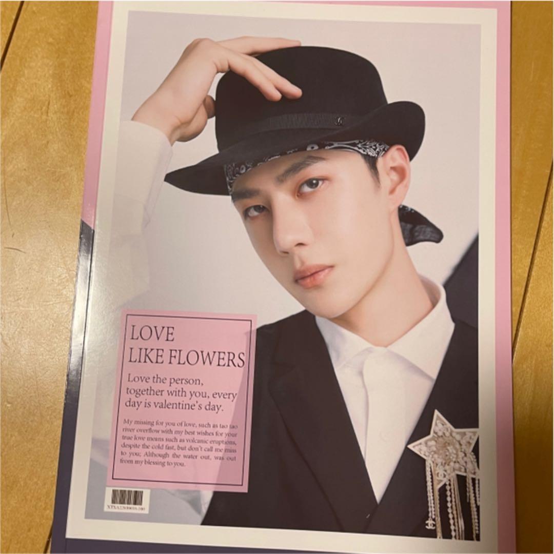 陳情令　王一博　写真集「LOVE LIKE FLOWER」 Amazon.co.jp: 中国ドラマ「陳情令」肖战／王一博 写真集 : 墨香銅臭: 本