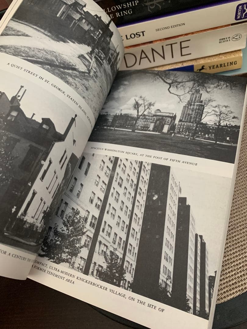 希少　New York Panorama by Alfred Kazin