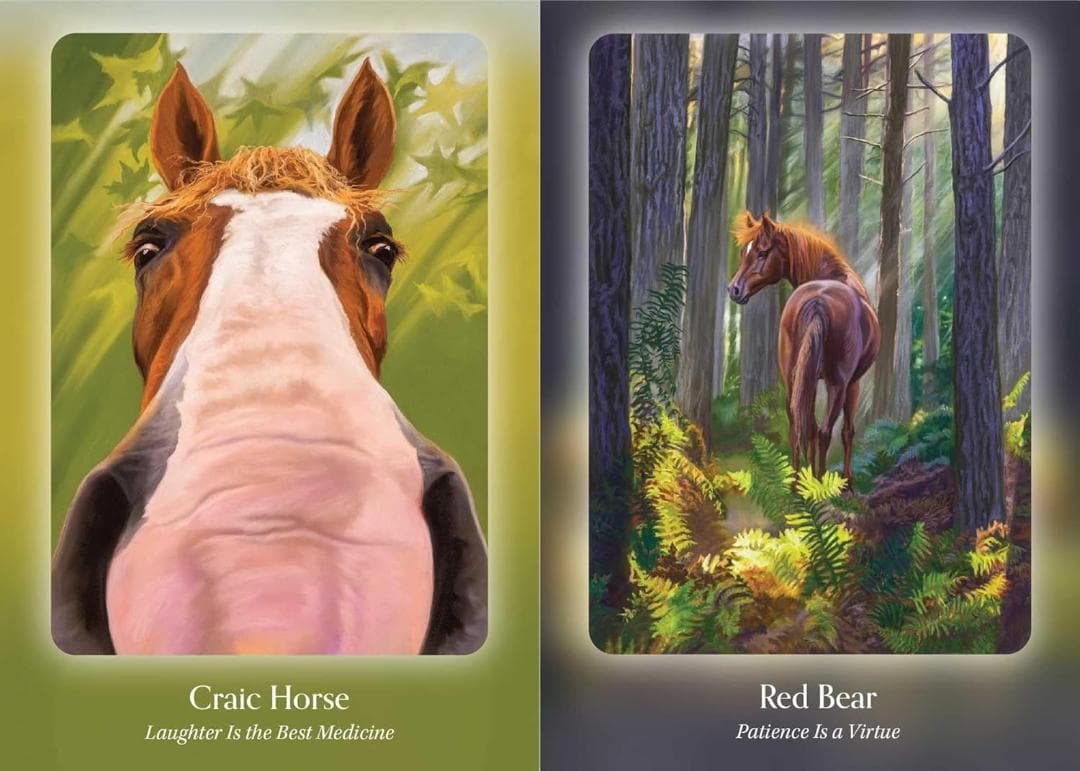 87 juno様専用☆オラクルカード - メルカリ