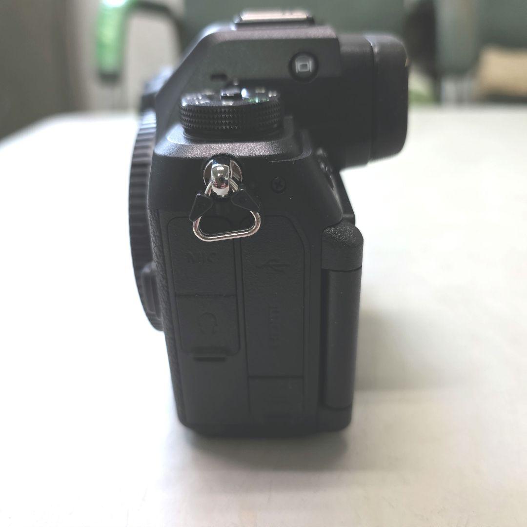 超美品・ショット数極小】Nikon Z6Ⅲ＋24-120mm f/4S＋おまけ - メルカリ