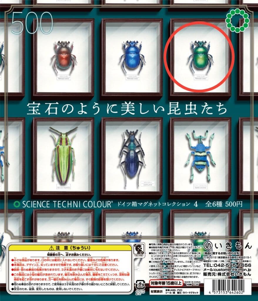 ドイツ箱 マグネットコレクション4 06オオセンチコガネ(緑) - メルカリ
