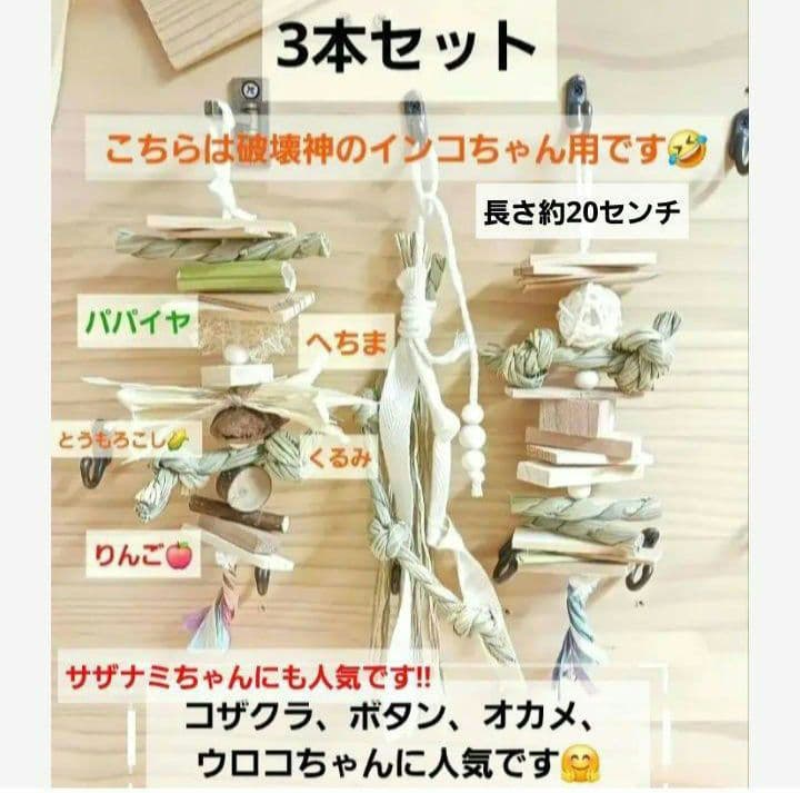 t173 中型 インコ オオム カジカジ、ガジガジおもちゃセット かじり木